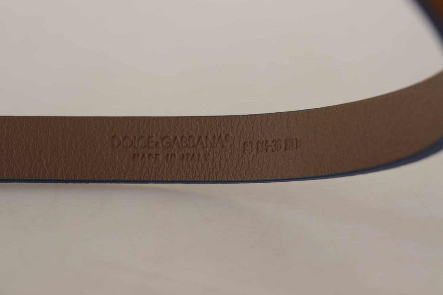 Dolce & Gabbana Dark Brown Blue Leather Gold Metal Buckle Belt