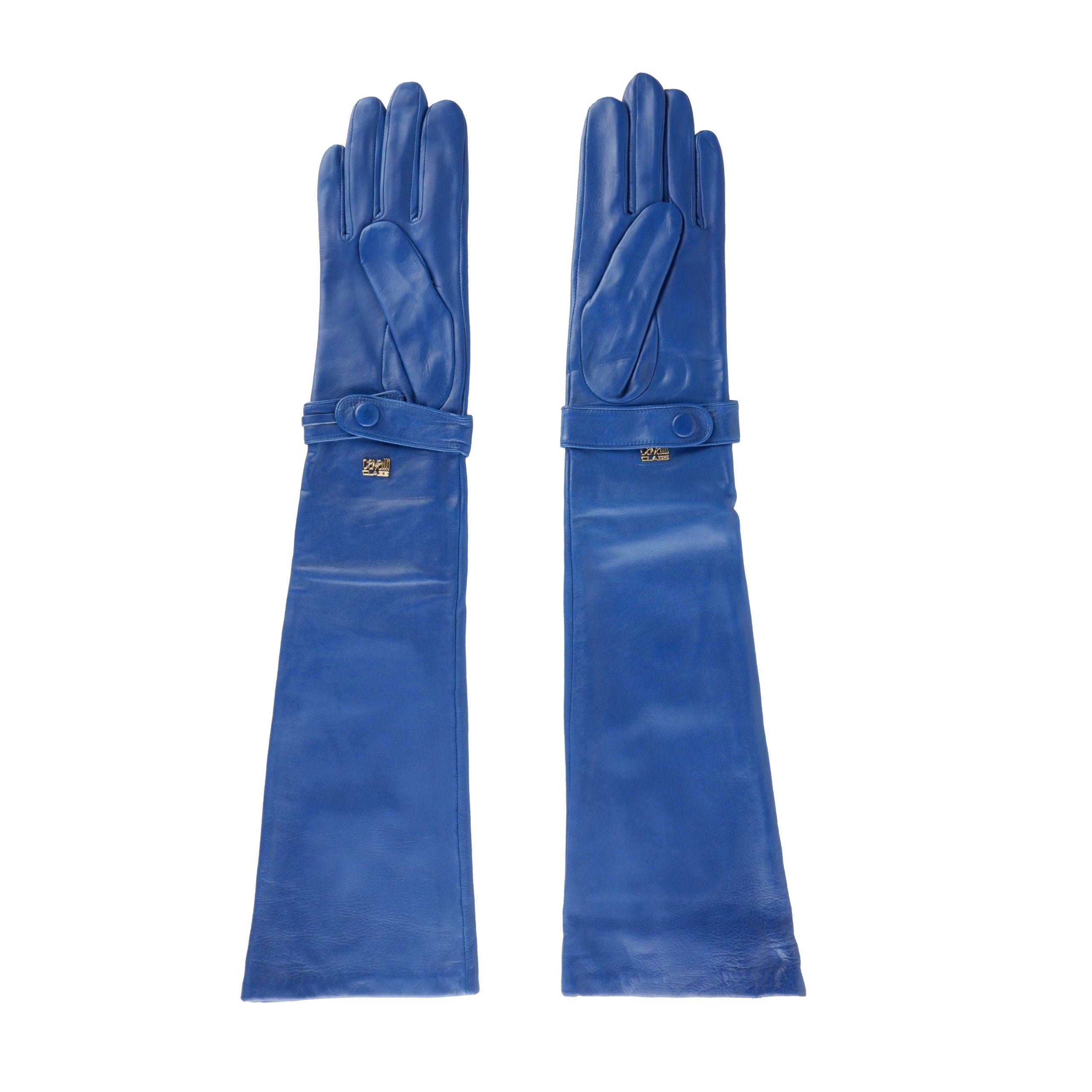 Blue Lamb Leather Cavalli Gloves